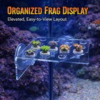 Demonstration of coral frag plugs fitted securely into the acrylic rack holes.