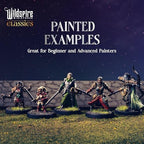 Wildspire mercenary guild premium plastic gaming figures arranged for scale grid testing