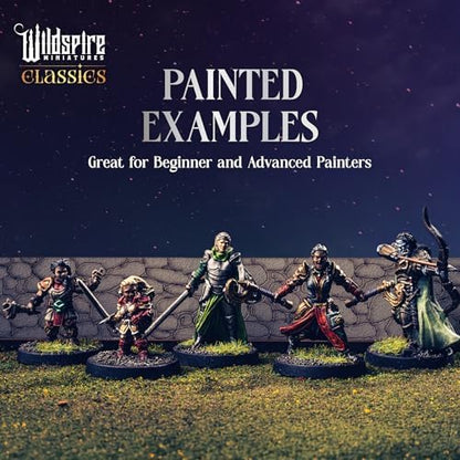 Wildspire mercenary guild premium plastic gaming figures arranged for scale grid testing