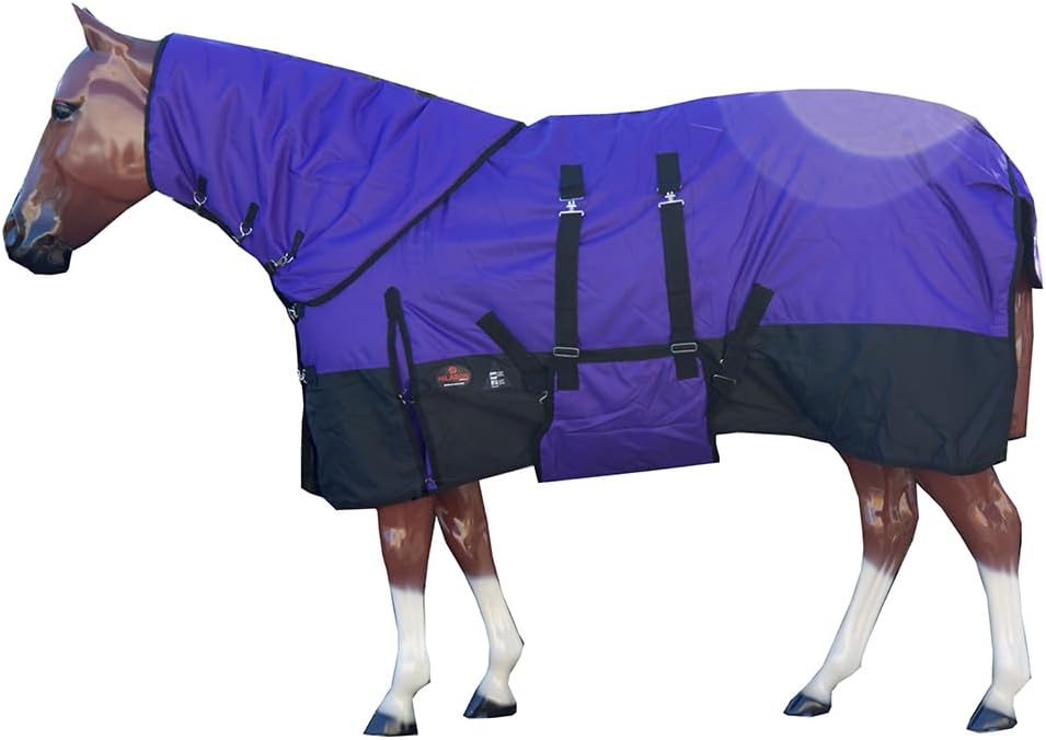 Hilason winter horse blanket purple front view waterproof turnout gear