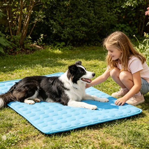 MeiLiMiYu cooling mat spread over a car seat for pet travel comfort