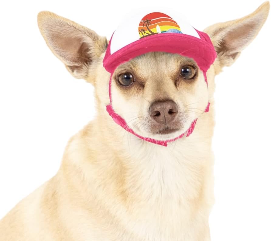 Sunset Collection, PupLid Trucker Hats for Dogs (Large) Premium Stylish Sun Protection for The Modern Dog - Adjustable for Secure Comfortable Fit on Active Dogs (Black, All-Terrain) - Image 14