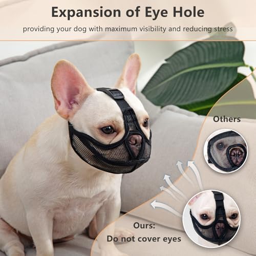 Adjustable T-shaped buckle strap detail on dog muzzle