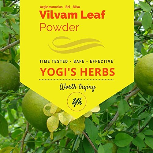Yogis Herbs Premium Vilvam Leaf Powder sixteen ounce package front view showcasing pure Ayurvedic digestive green supplement.