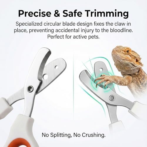 Vin Beauty small reptile claw clippers packaging layout for pet owners.