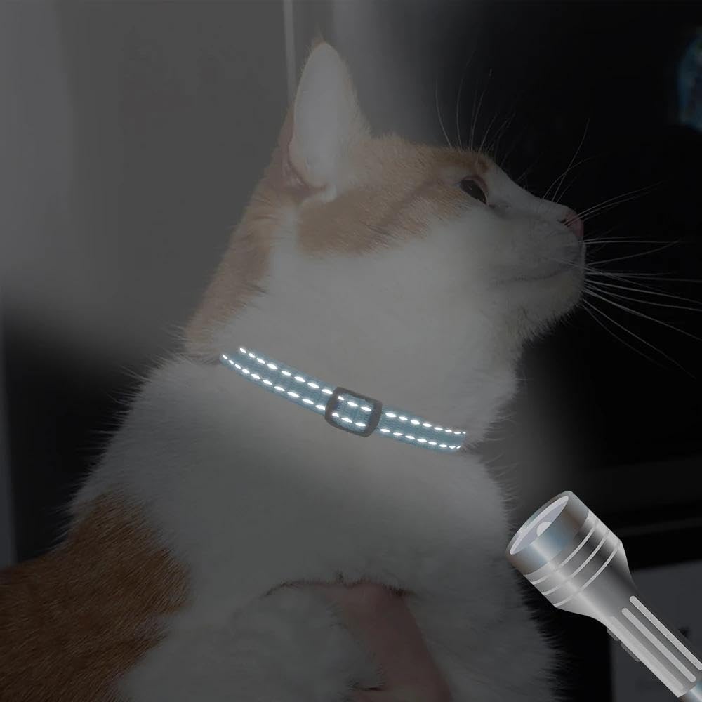 YOUALSO tiny breed dog collar showing adjustable strap sizing mechanism