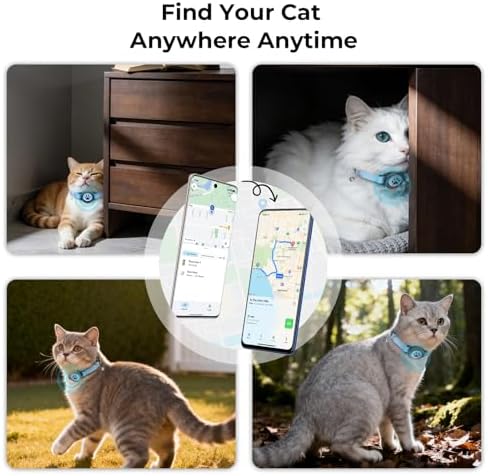 Adjustable blue kitten tracker collar layout showing the entire set with bell attachment