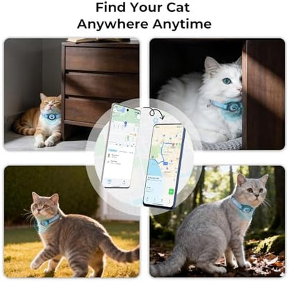 Adjustable blue kitten tracker collar layout showing the entire set with bell attachment