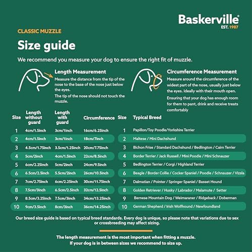 Adjustable neck strap detail on Baskerville dog muzzle