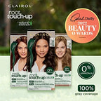 Ingredients list for Clairol Natural Instincts root touch up