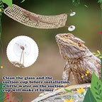 Silkfly terrarium accessory mounted inside a reptile enclosure glass wall