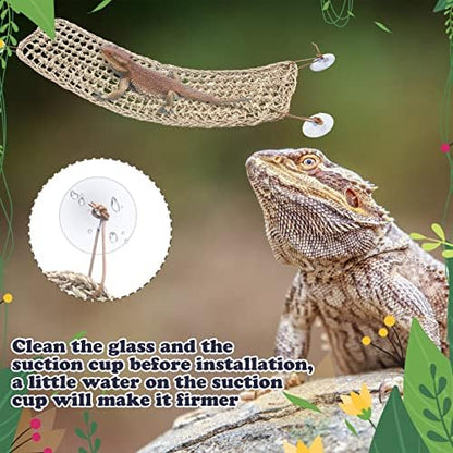 Bearded dragon resting on a seagrass climbing hammock