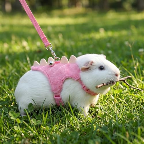 Full packaging view of Tarini imported adjustable ferret vest harness set