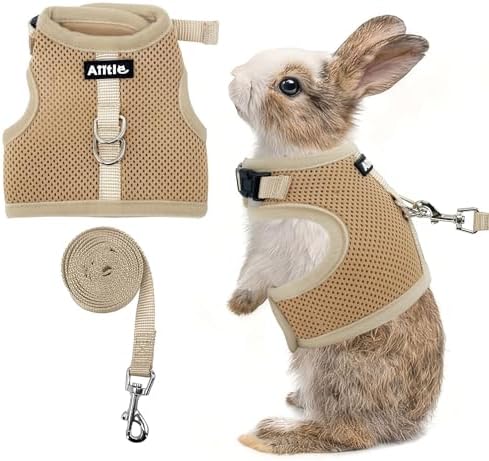 AIITLE small pet vest harness back view highlighting the secure double D rings and nylon buckle strap