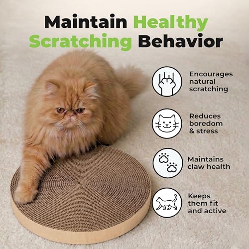 Packaging layout of Best Pet Supplies Catify replacement pads
