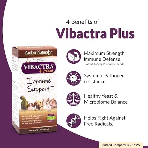 Amber NaturalZ Vibactra Plus Herbal Supplement for Dogs, Cats, Birds, Guinea Pigs, and Rabbits | Herbs for Immune Health and Yeast Balance | 1 Fluid Ounce Glass Bottle - Image 3