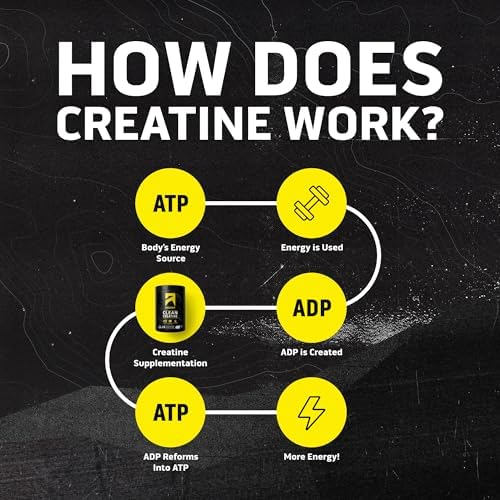 Ascent Creatine container back label and ingredients