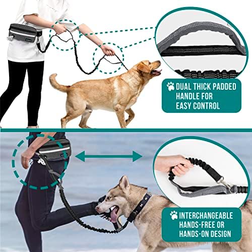 Adjustable waist belt mechanism for PetAmi hands free leash