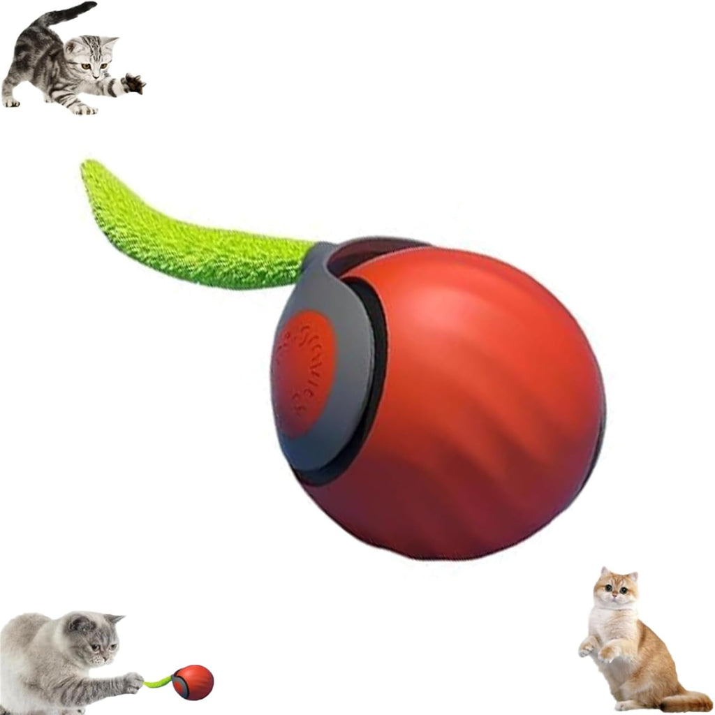Autrety rechargeable cat toy ball with replaceable plush tail accessories for indoor adult cats.