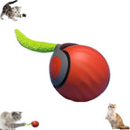 Autrety rechargeable cat toy ball with replaceable plush tail accessories for indoor adult cats.