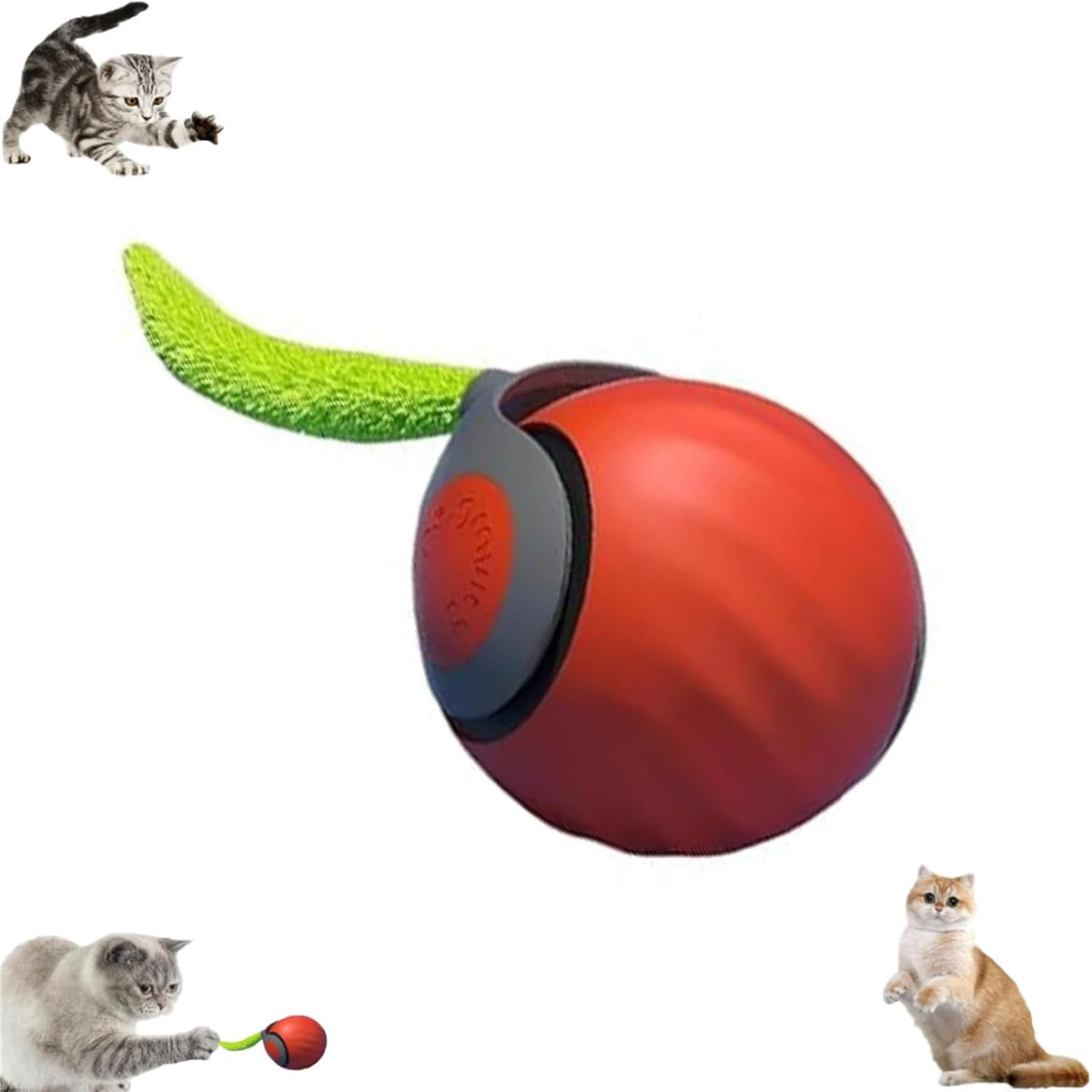 Autrety rechargeable cat toy ball with replaceable plush tail accessories for indoor adult cats.