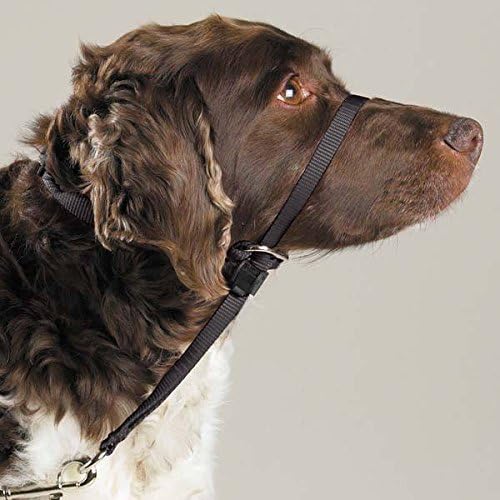 Gentle Leader Dog Training Headcollar in medium size black showing the front view nose loop and adjustable neck strap
