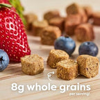 Beech-Nut imported whole grain oats and real fruit snack bites for toddlers twelve months plus
