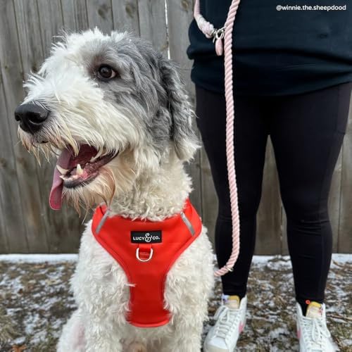Rosewater hands-free leash worn crossbody style
