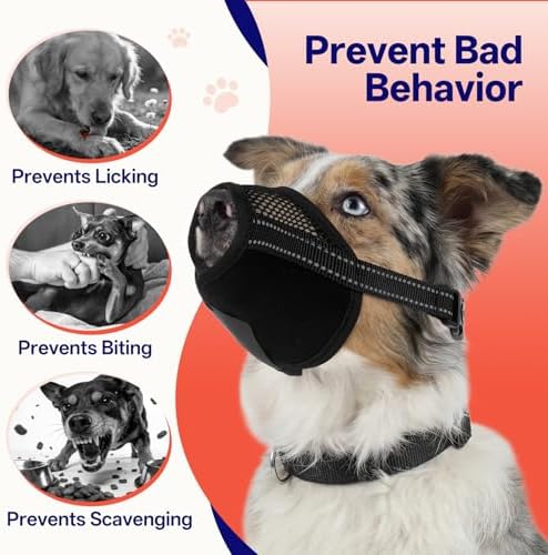 Dog muzzle side profile showing panting capability