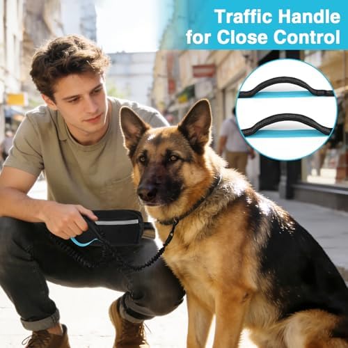 Arcolma nylon dog leash showcasing the dual neoprene padded handles for close traffic control.