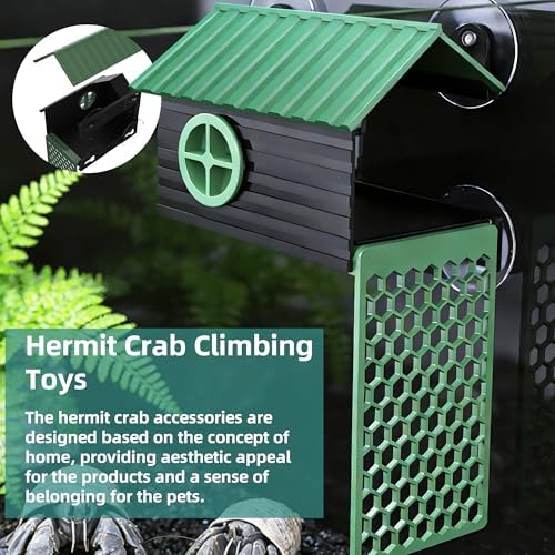 Multi-Functional Hermit Crab Hideaway | Hermit Crab Foraging cave with Ladder | Hermit Crab Climbing wall Toy | Hideout Decoration Accessories Also Suitable for Lizards and Tarantulas - Image 5