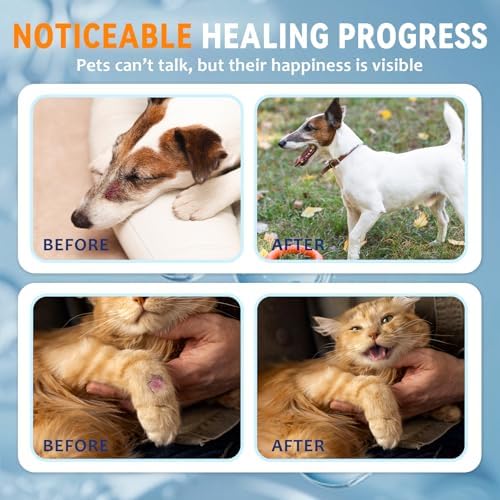 Blessmeet pet skin barrier gel applicator for soothing itchy skin