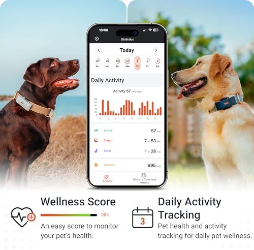 PAJ GPS tracker attached to dog harness