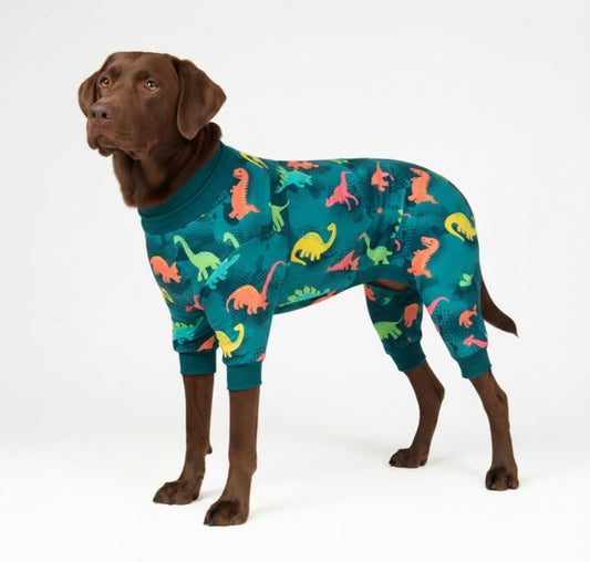 Spark Paws dog pajama in dinosaur print front view on a large breed dog.