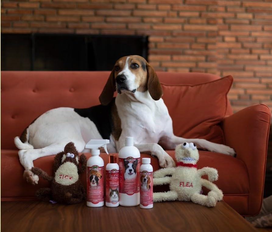 Natural pyrethrin formula pet grooming shampoo bottle close up