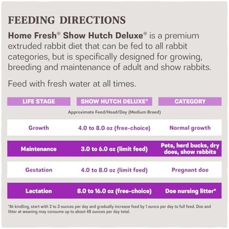 Show rabbit displaying excellent physical condition after being fed Blue Seal complete nutrition.