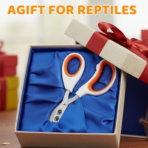 Imported USA premium lizard accessories packaging and safety tips view
