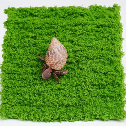 Hermit Crab Climbing Wall, 6 Inch Adjustable Hermit Crab Supplies for Hermit Crab Tank - Image 3