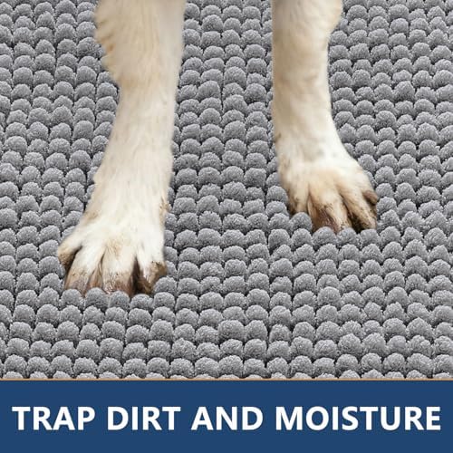 Smiry absorbent pet mat under a door frame showing low profile