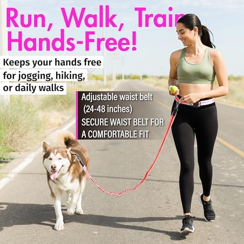 Close-up of JC House leash dual handle feature