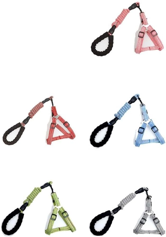 Durable nylon pet walking gear in grey
