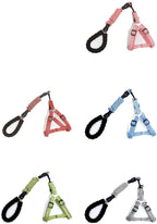 Durable nylon pet walking gear in grey