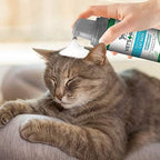 Application of foam on cat fur during grooming
