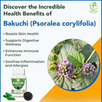 Premium imported Bakuchi 60 vegetarian capsules container for healthy skin vitality