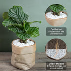 Polished silica gravel used in succulent plant pot