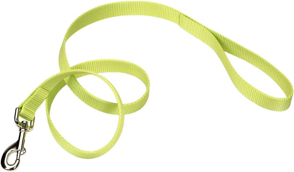Coastal Pet Single-Ply Dog Leash - Sturdy Pet Leash - Comfortable & Stylish - Resists Fraying - Vibrant & Fade-Resistant Color - Neon Pink, 3/8" x 6' - Image 15
