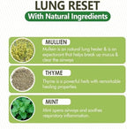 Nicotine free herbal diffuser with mullein thyme and mint ingredients