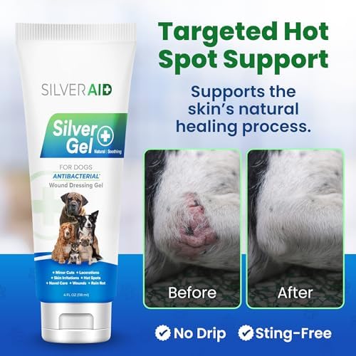 Applying antibacterial silver gel to dog hot spots and insect bites.