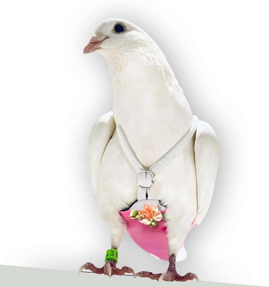 FLYPER Adjustable Mini Bird Diaper | Reusable, Washable Cloth | Comfort Fit for Parrots, Cockatiels, and Other Small Birds | Fashionable Avian Accessories Size 4 - Image 9