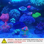 Saricho acrylic coral frag stand illustrating the side profile height and heavy ceramic anti-tipping base design